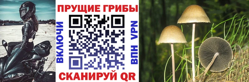 Псилоцибиновые грибы MAGIC MUSHROOMS  Никольск 